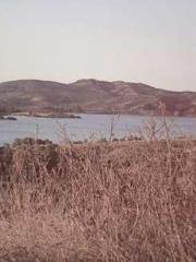 A Spicy Wife from th