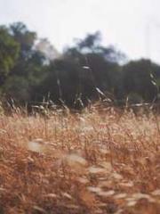 Becoming a Farm Girl