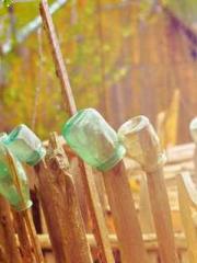 The generalapos;s yo