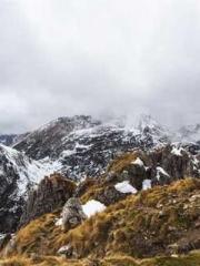 Super husband Lin Xi