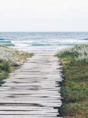 I have seven fairy g