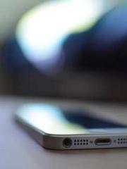 My pets are all amaz