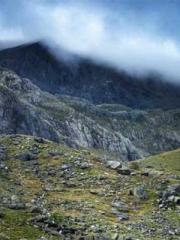 Fu Zi Mo Qin Luo Yan