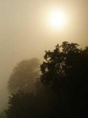 The Undefeated Son-i