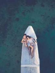 Transmigration: Feel