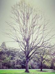 Transmigrated to the