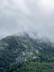 lt;Marry at first si