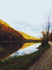 lt;lt;The Trash Husb