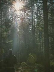 Reborn in the Apocal