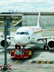 lt;Marry at first si