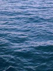 A Spicy Wife from th