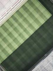 lt;lt;lt;lt;Yearning